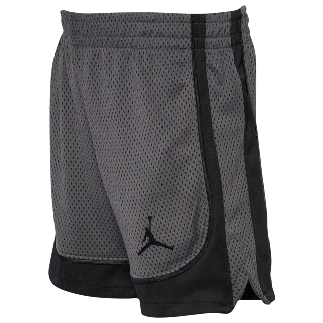 Jordan Air Jordan 2.0 Color Blocked Shorts
